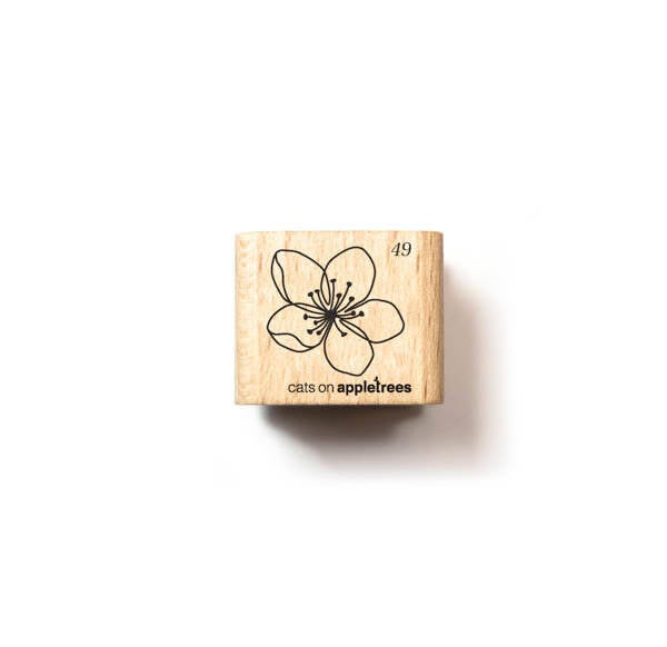 Stempel | Blüte 49 - Obstblüte
