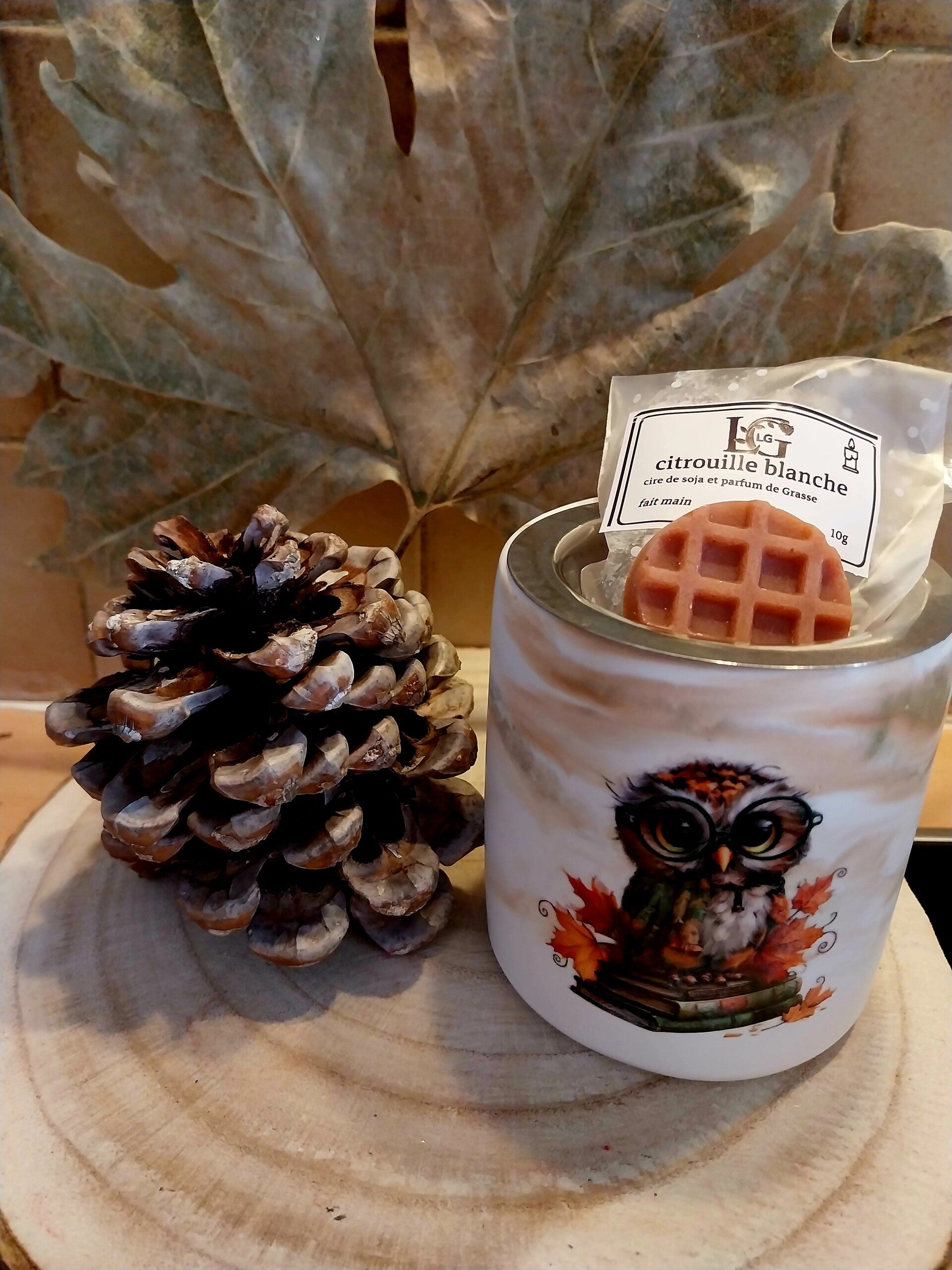 Diffuseur automne hibou