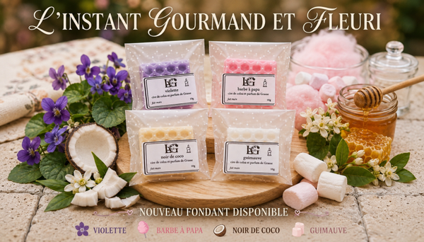 Fondant noix de coco 10 g cire de colza