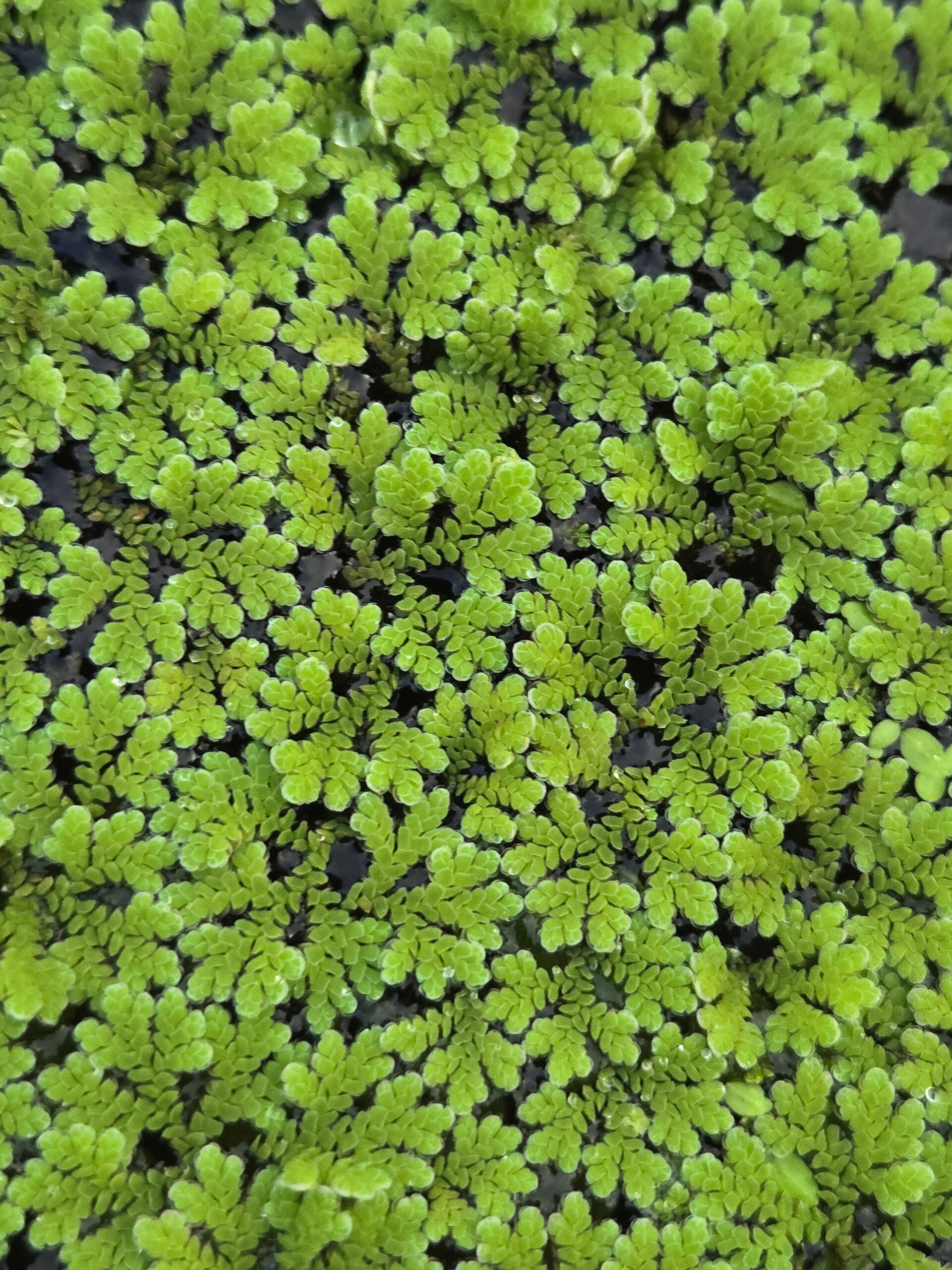 20260706_203125-standard.jpg