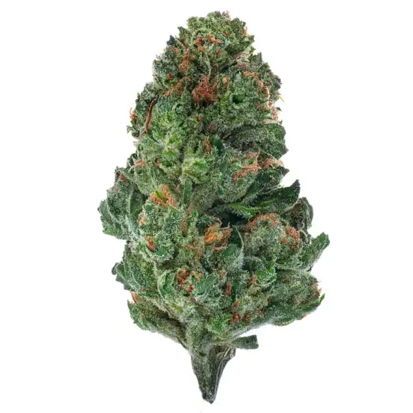 GG4 (Hybrid