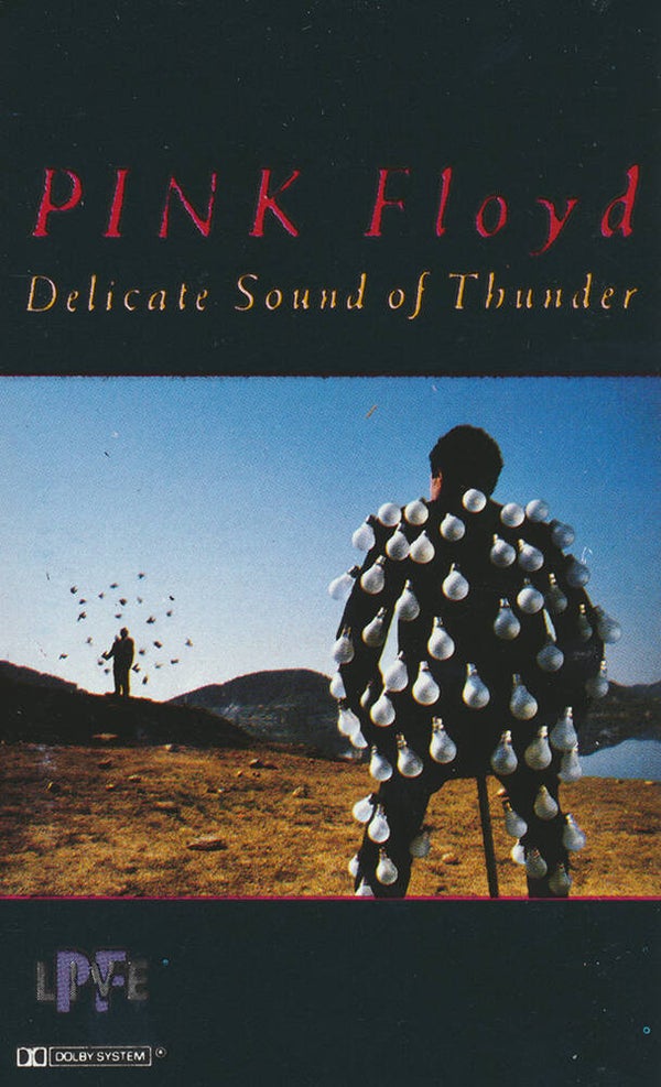 Pink Floyd - Delicate Sound Of Thunder [Australia] - Cassette