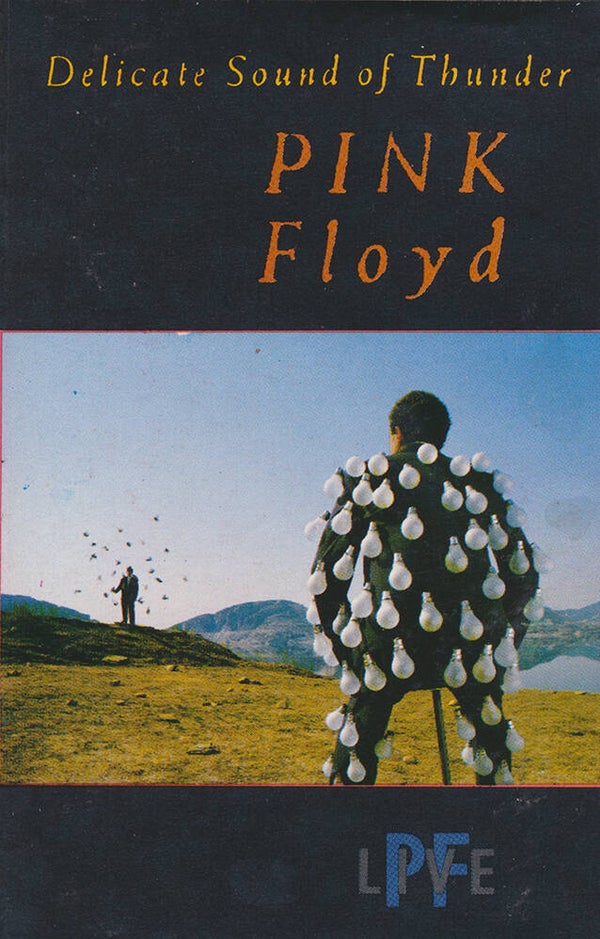 Pink Floyd - Delicate Sound Of Thunder [Spain] - Cassette