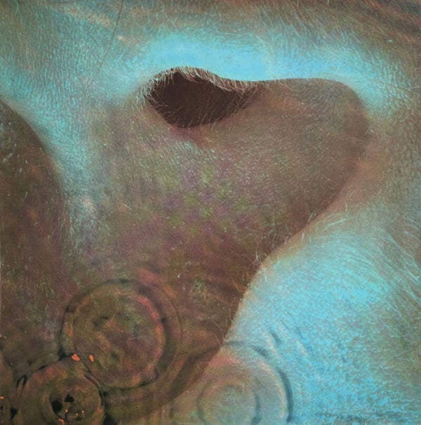 Pink Floyd - Meddle [France, Price Code U] - LP