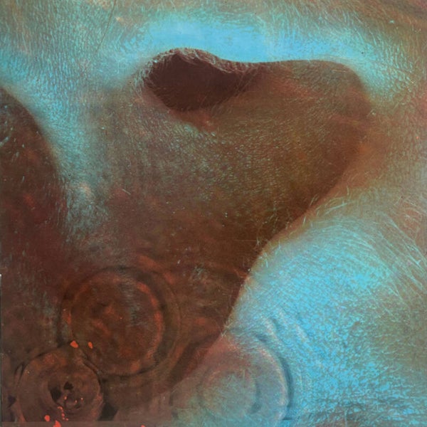 Pink Floyd - Meddle [Holland] - LP