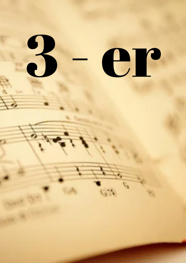 HS-ESM_345_36 ● ERSTE PHASE