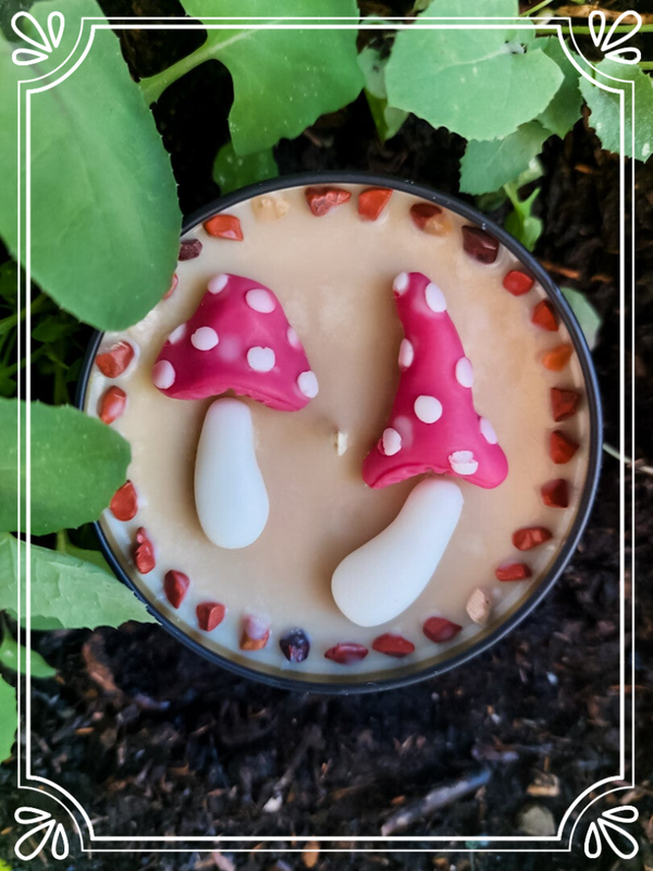 Muscaria