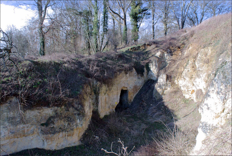 kalkmergelgroeve schaelsberg daolkesberg