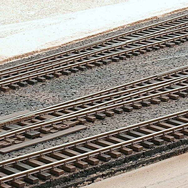 Weinert spoor op rubbergranulaat.