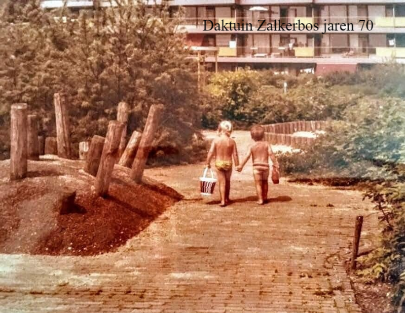 Daktuin Zalkerbos jaren 70