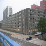 De zwarte madonna 2005