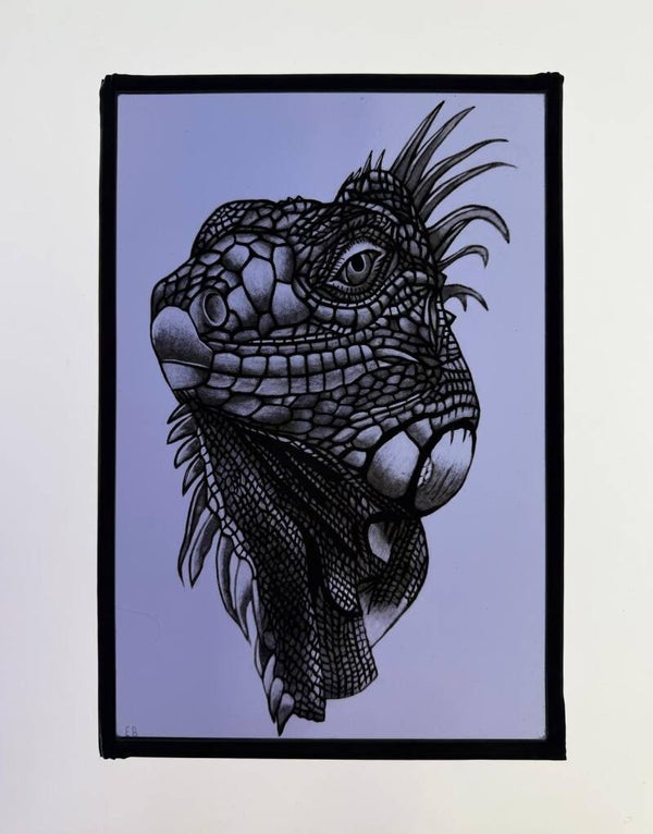 The Iguana