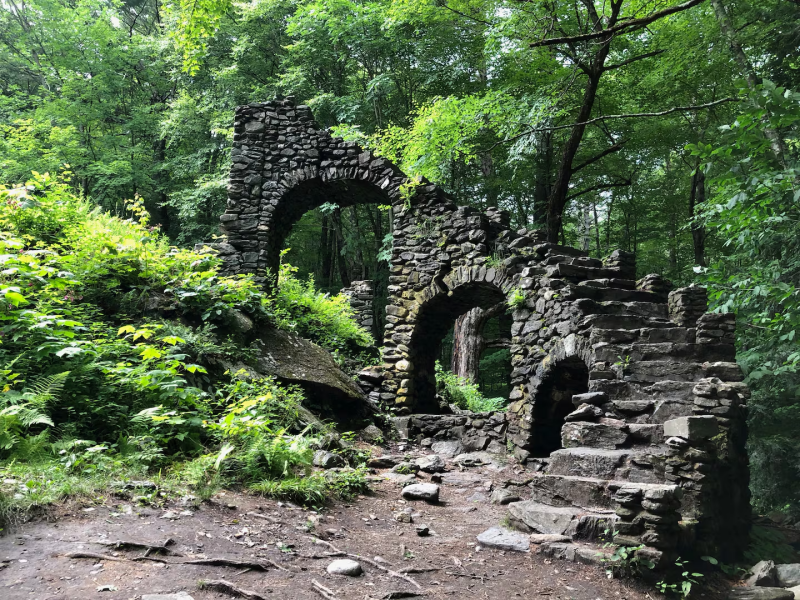 forest_ruins.png