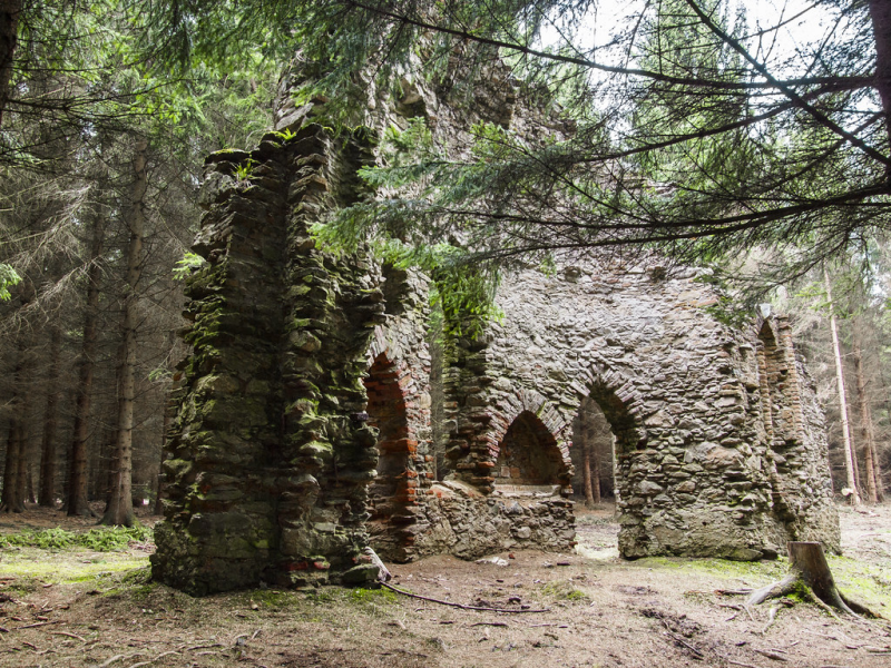 forest_wall.png