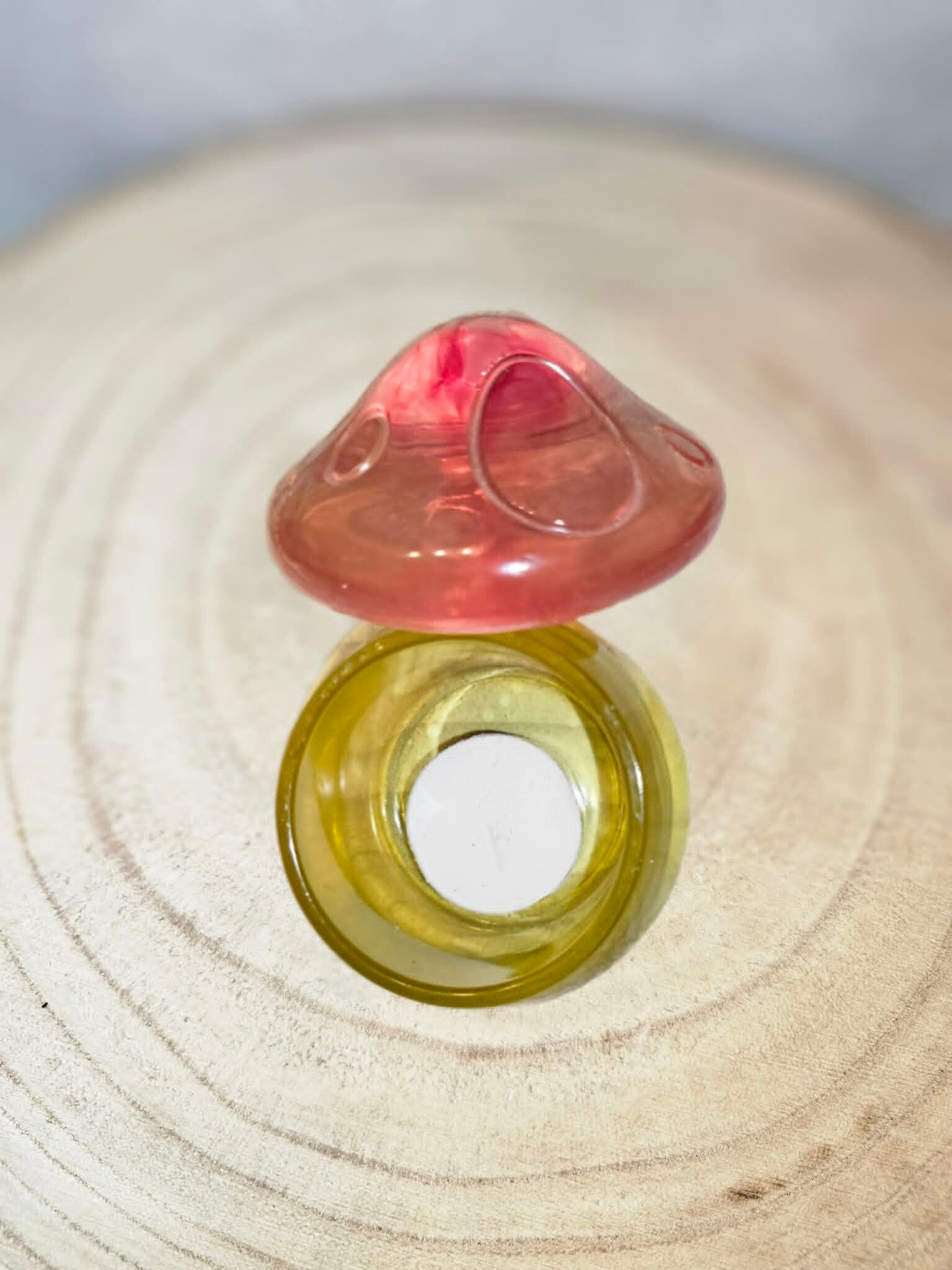 BOÎTE CHAMPIGNON