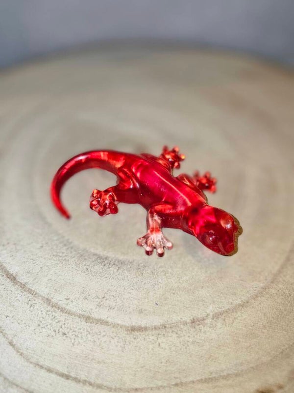 SALAMANDRE PETITE