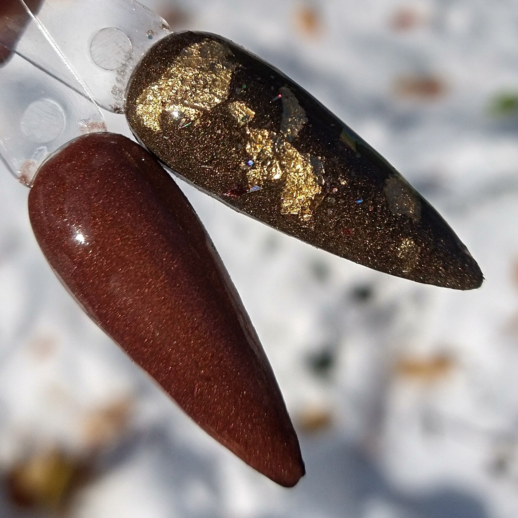 Autumnal November Duo