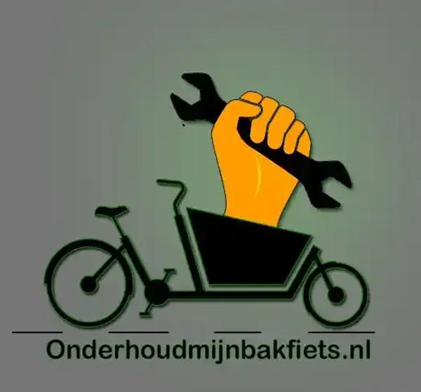 Basis onderhoud bakfiets incl. software update