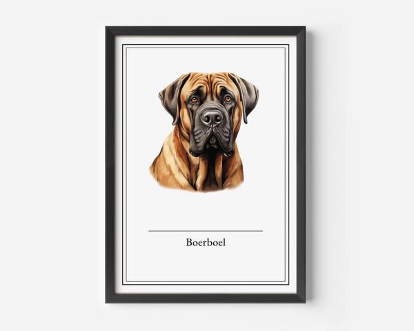 Boerboel