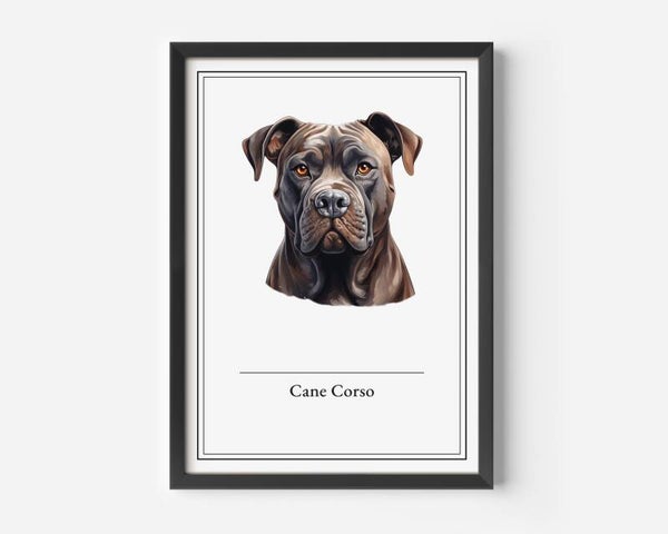 Cane Corso