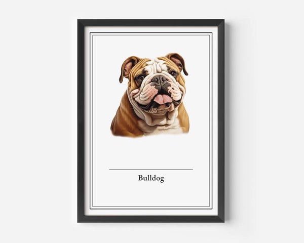 Bulldog