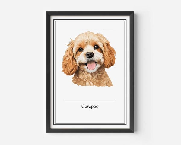 Cavapoo