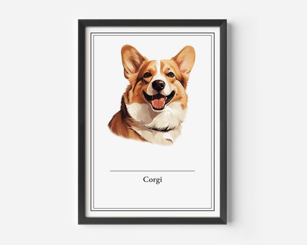 Corgi
