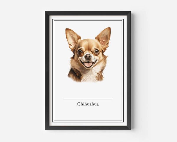 Chihuahua