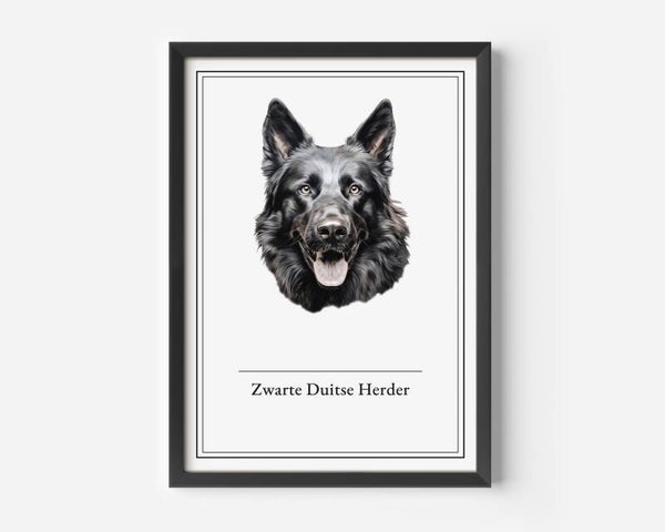Zwarte Duitse Herder