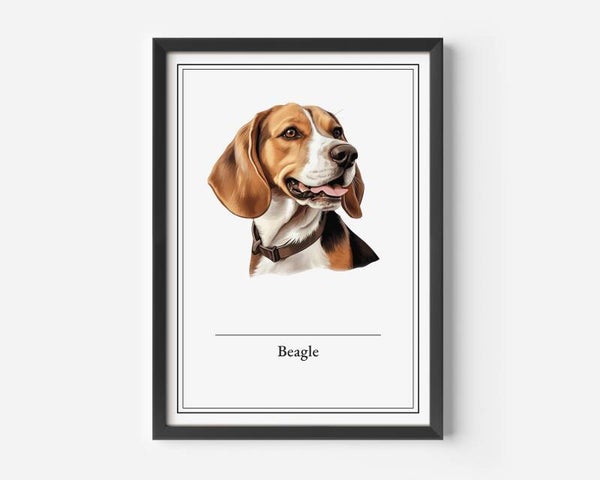 Beagle