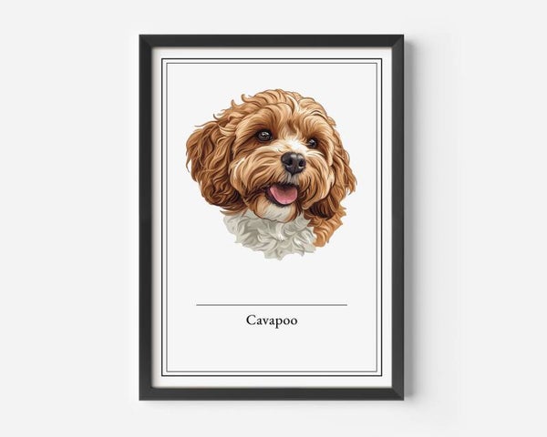 Cavapoo