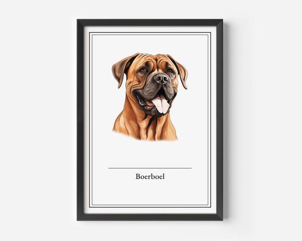 Boerboel