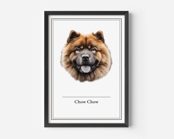 Chow Chow