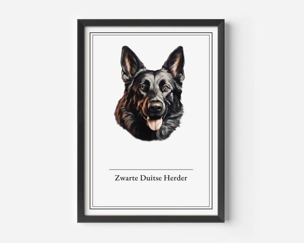 Zwarte Duitse Herder