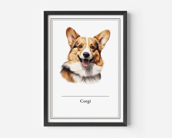 Corgi