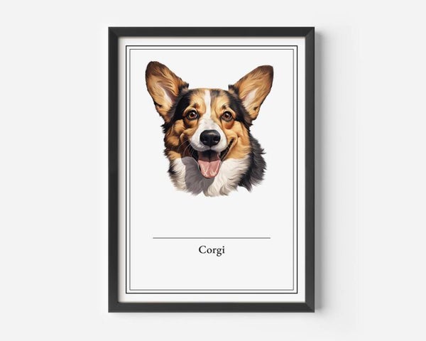 Corgi