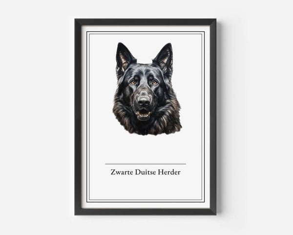 Zwarte Duitse Herder