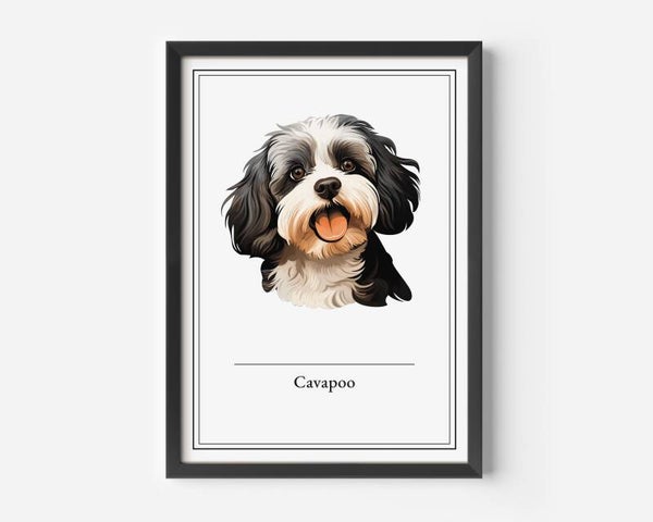 Cavapoo