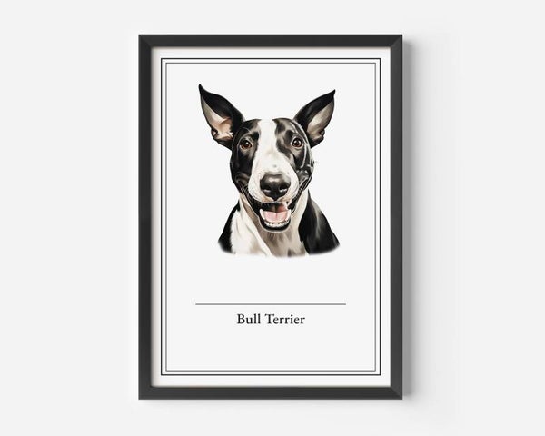 Bull Terrier