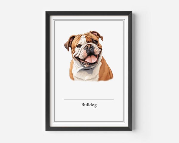 Bulldog
