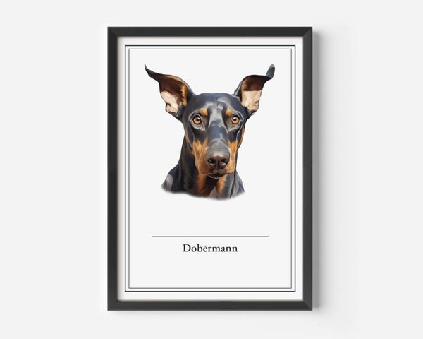 Dobermann
