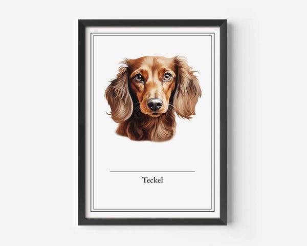 Teckel