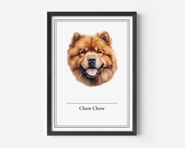 Chow Chow