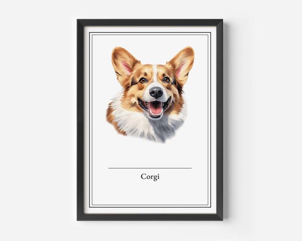 Corgi