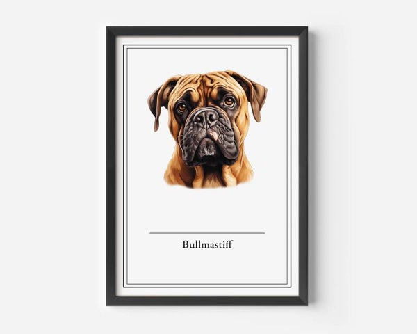 Bullmastiff