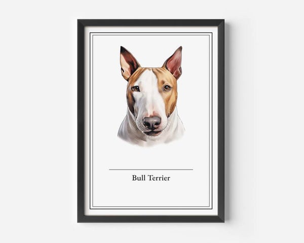 Bull Terrier