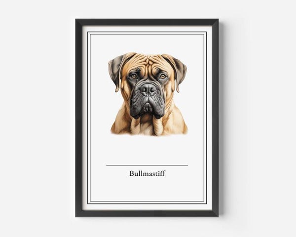 Bullmastiff