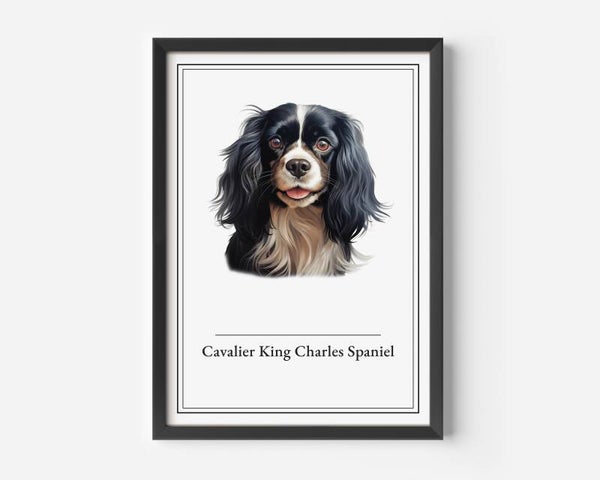 Cavalier King Charles Spaniel