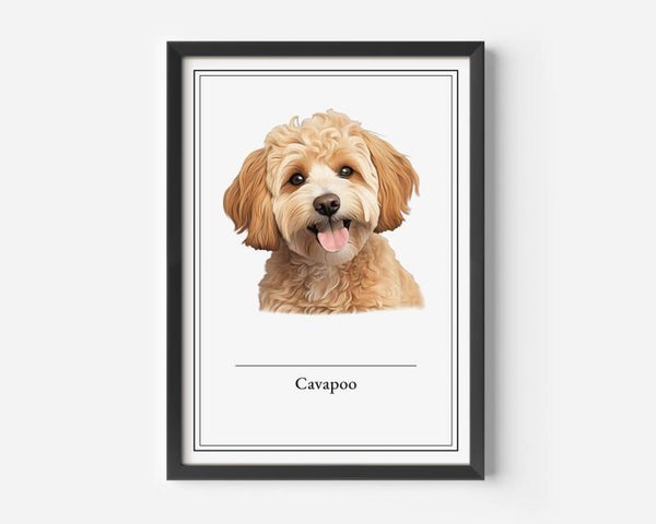 Cavapoo