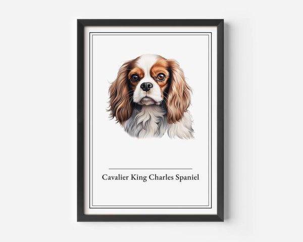 Cavalier King Charles Spaniel